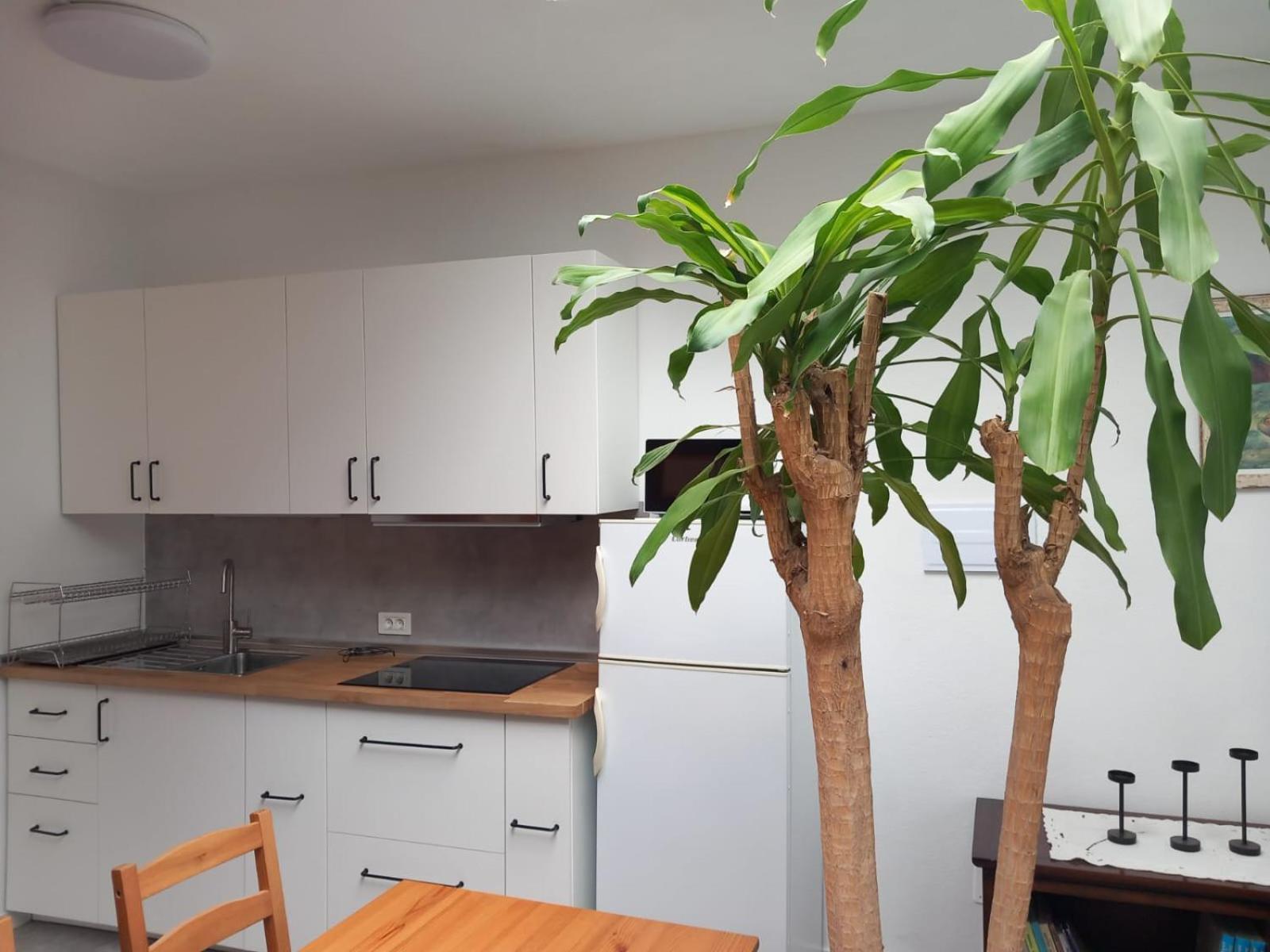 Vivienda Vacacional Casa Rosi Frontera Extérieur photo